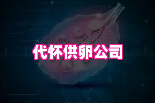 gfg孕网 2